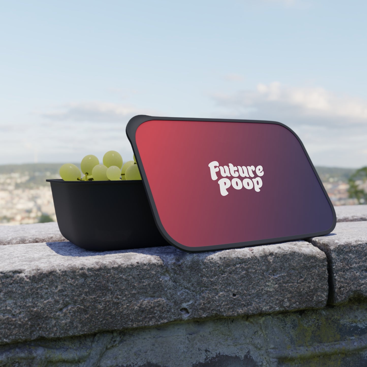 Multi-Use Future Poop Bento Box and Utensils